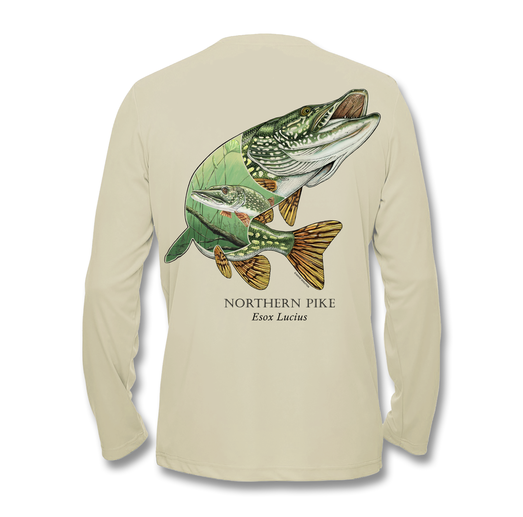 Northern Pike — Briny Deep